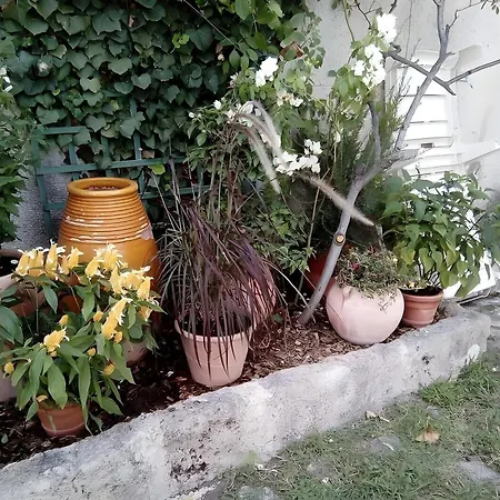 Villa Du Mas Affortit Nimes