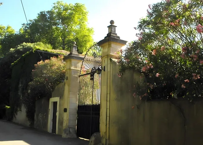 فيلة Du Mas Affortit